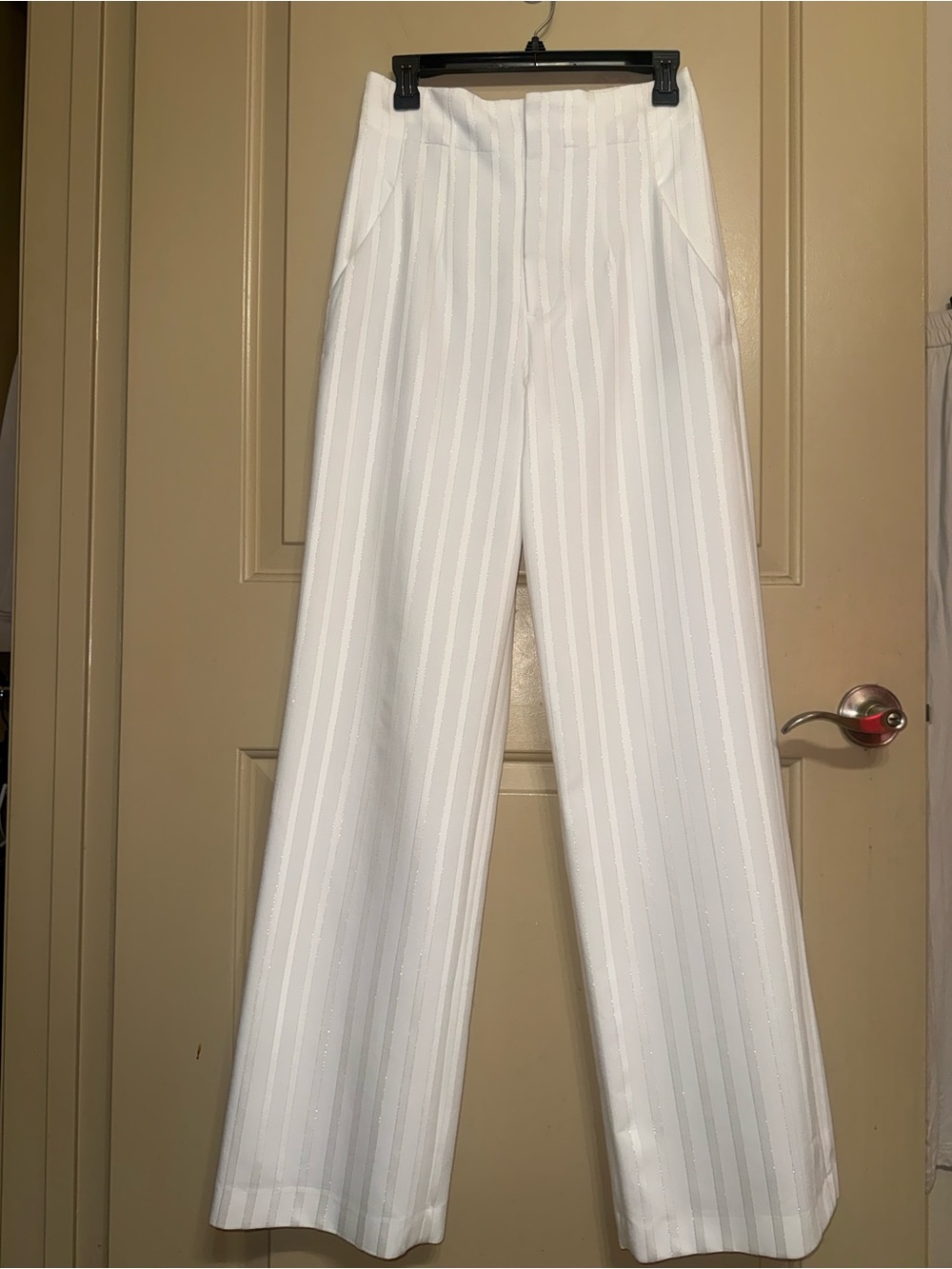 Zara "ZW" Collection Pants in Shiny Thread size Medium nwt